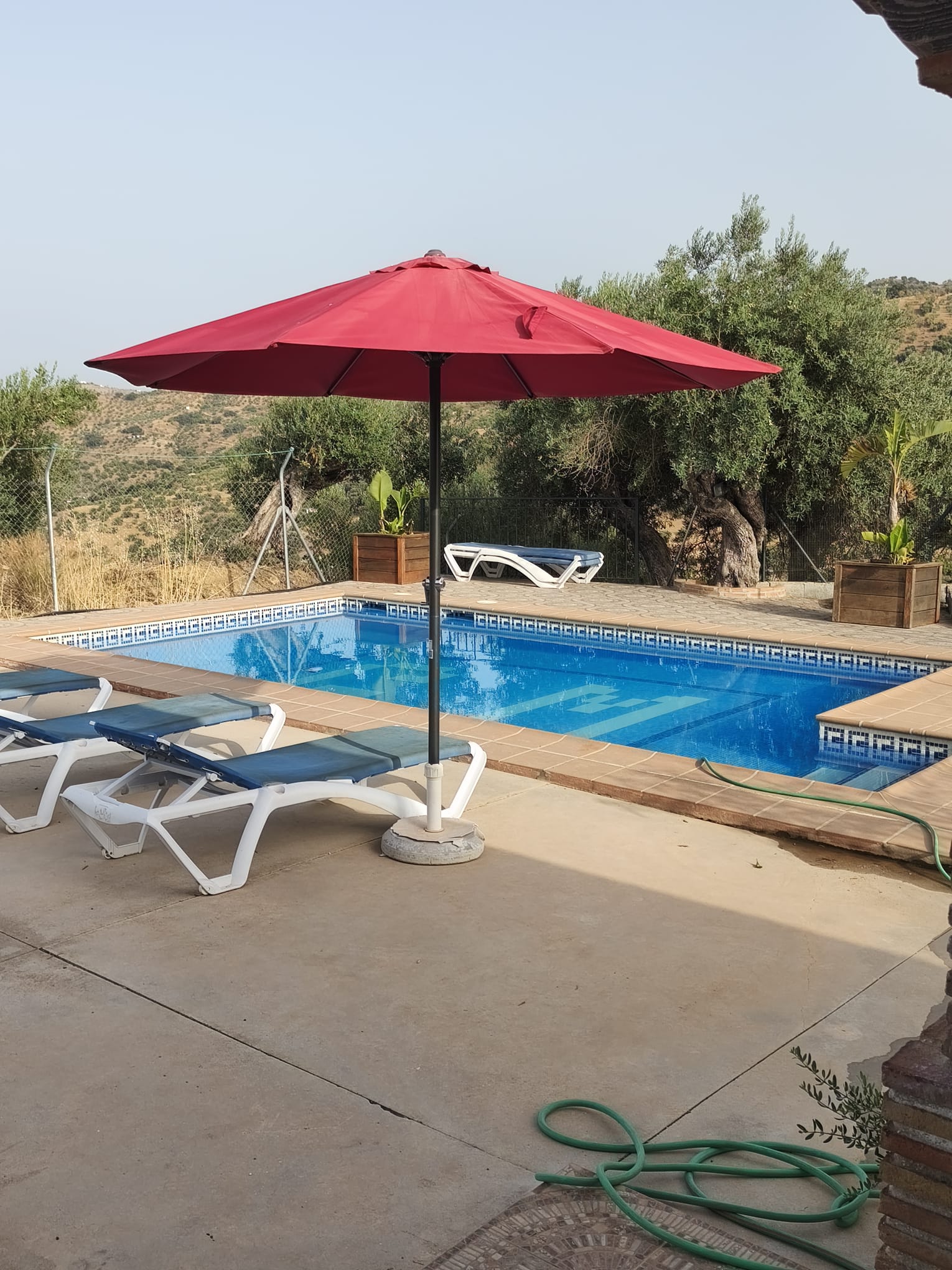 Vivienda en Tolox, foto 4